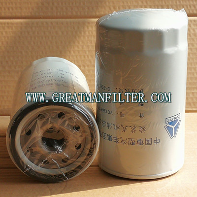 VG1246070031 JX1016 HOWO Oil Filter